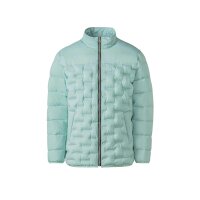 Herren-Übergangs-Steppjacke, kalkmint
