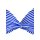 Marken-Push-Up-Bikini, weiß-blau, C-Cup